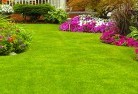 Rochester VIClawn-and-turf-35.jpg; ?>
